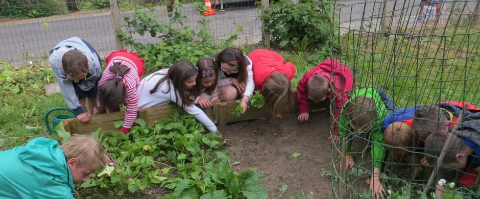 Potager slide site web br
